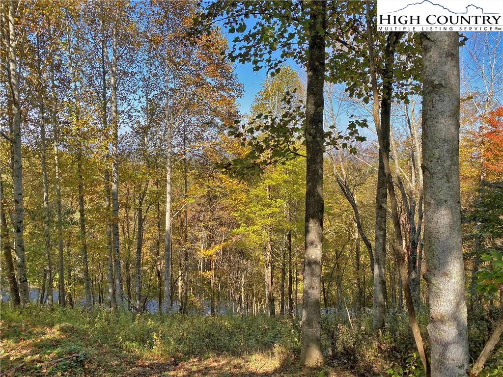 Image number 20 for the current listing
