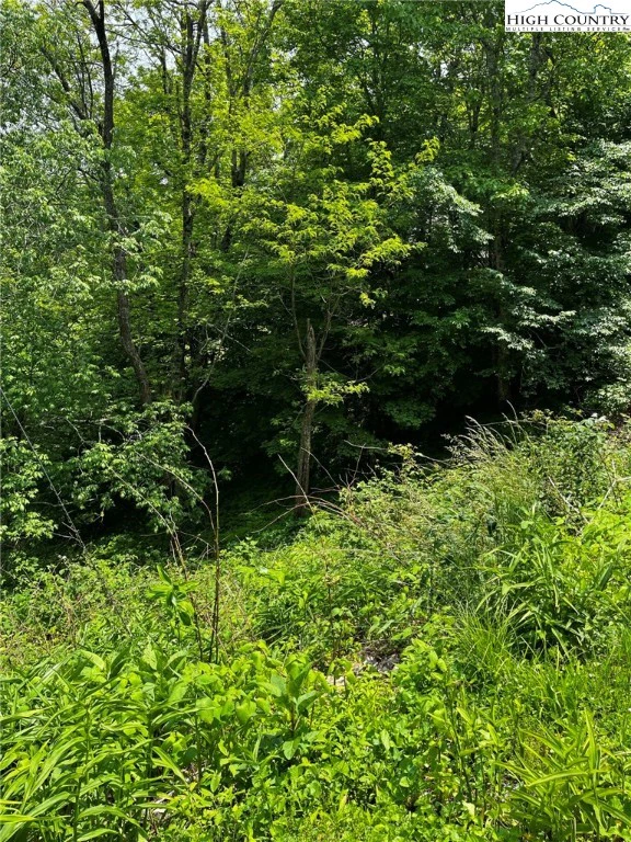 Image number 6 for the current listing