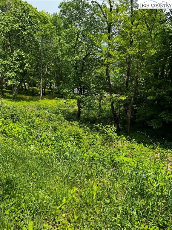 Image number 4 for the current listing