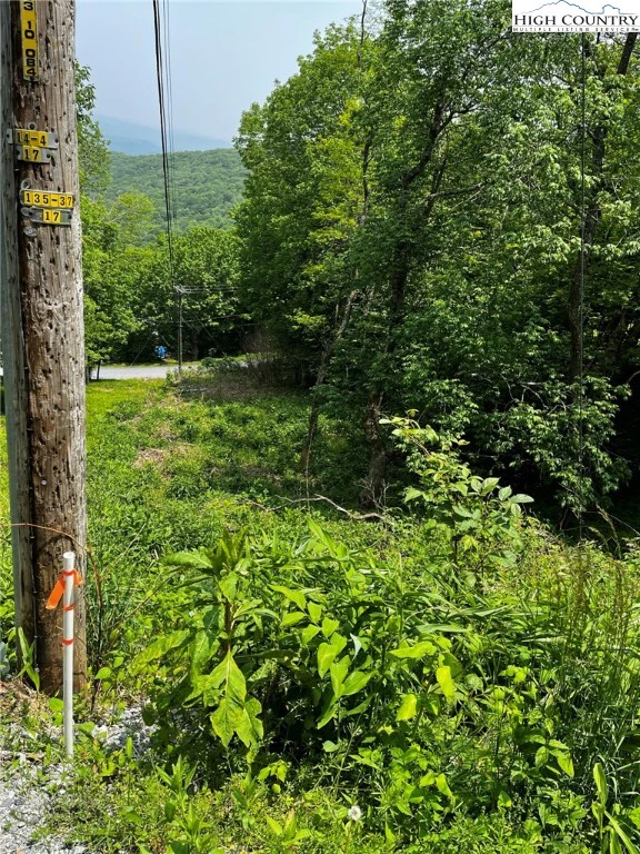 Image number 1 for the current listing