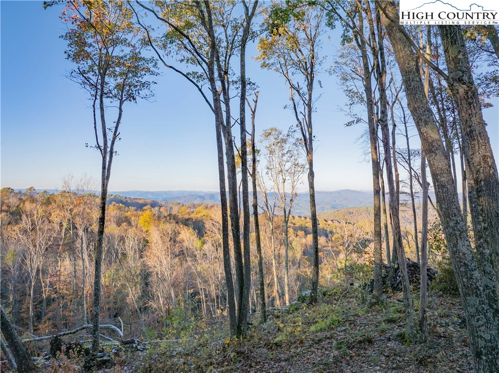 Image number 1 for the current listing