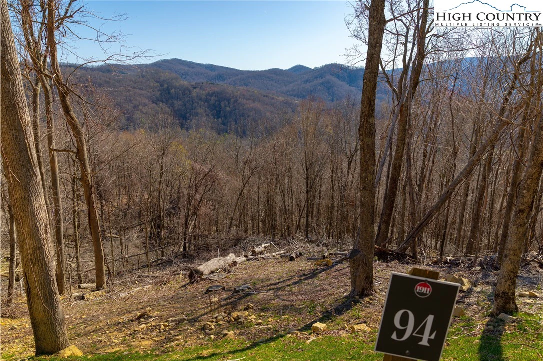 Image number 1 for the current listing