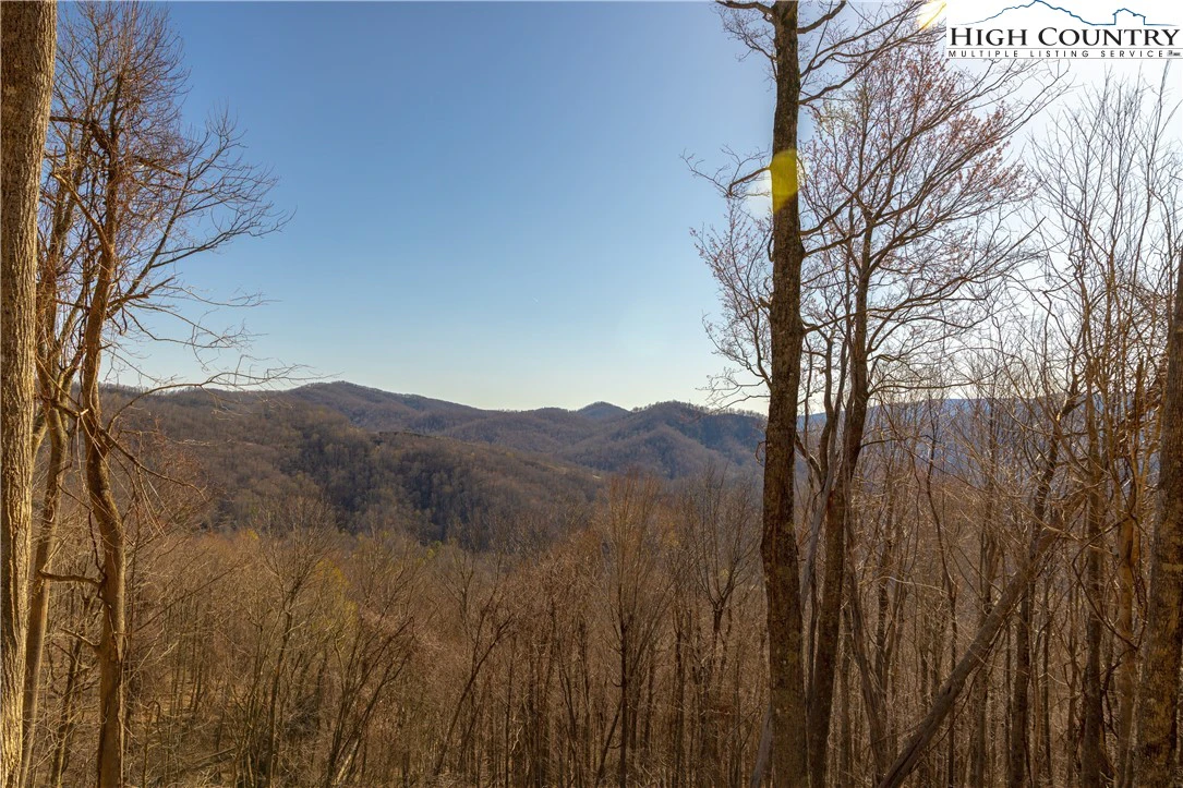 Image number 3 for the current listing