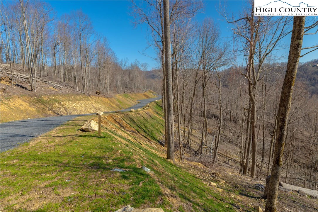 Image number 6 for the current listing