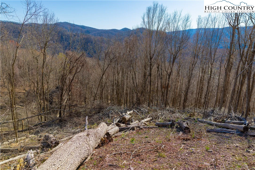 Image number 7 for the current listing