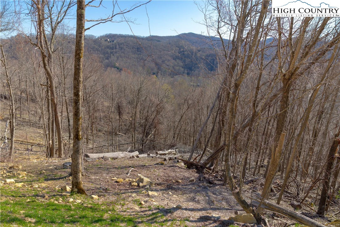 Image number 9 for the current listing