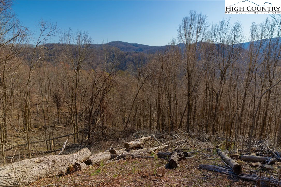 Image number 10 for the current listing
