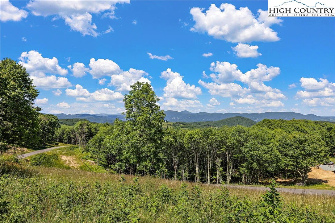 Image number 5 for the current listing