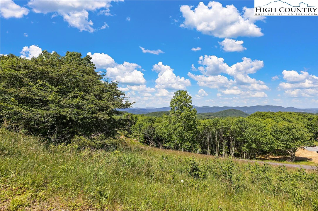 Image number 7 for the current listing