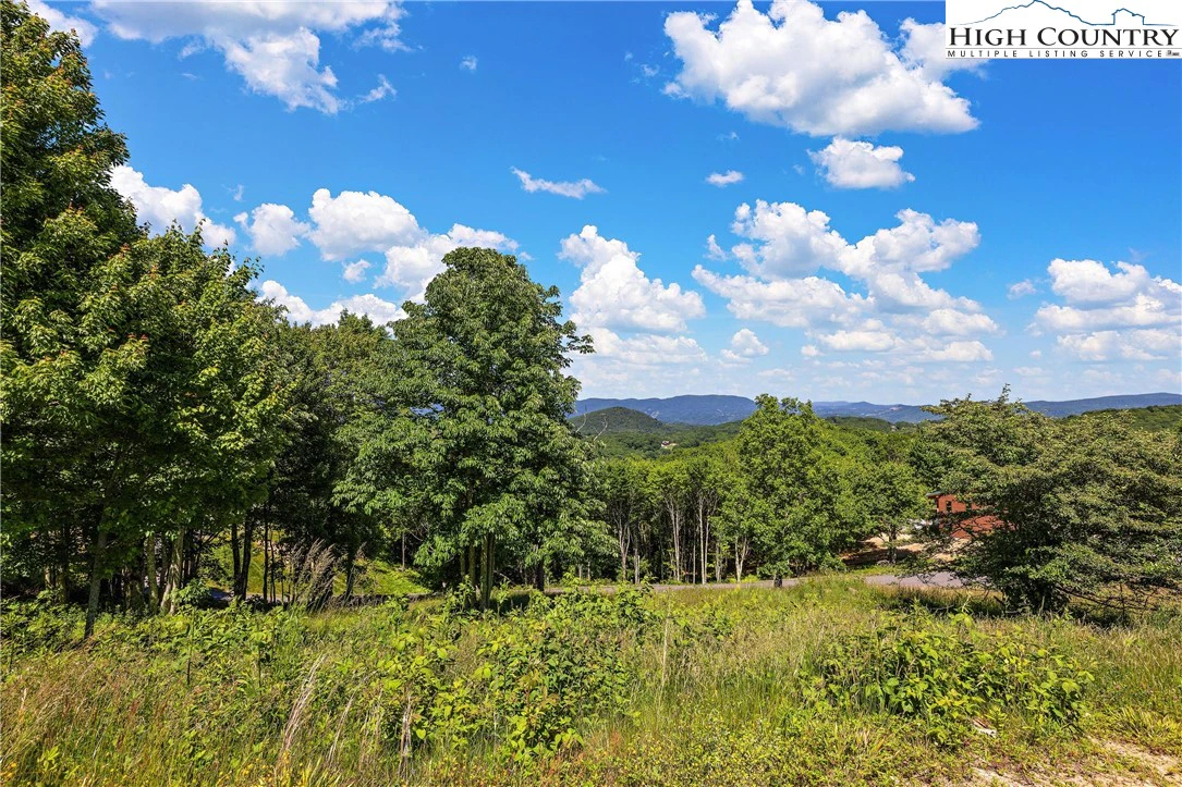 Image number 8 for the current listing