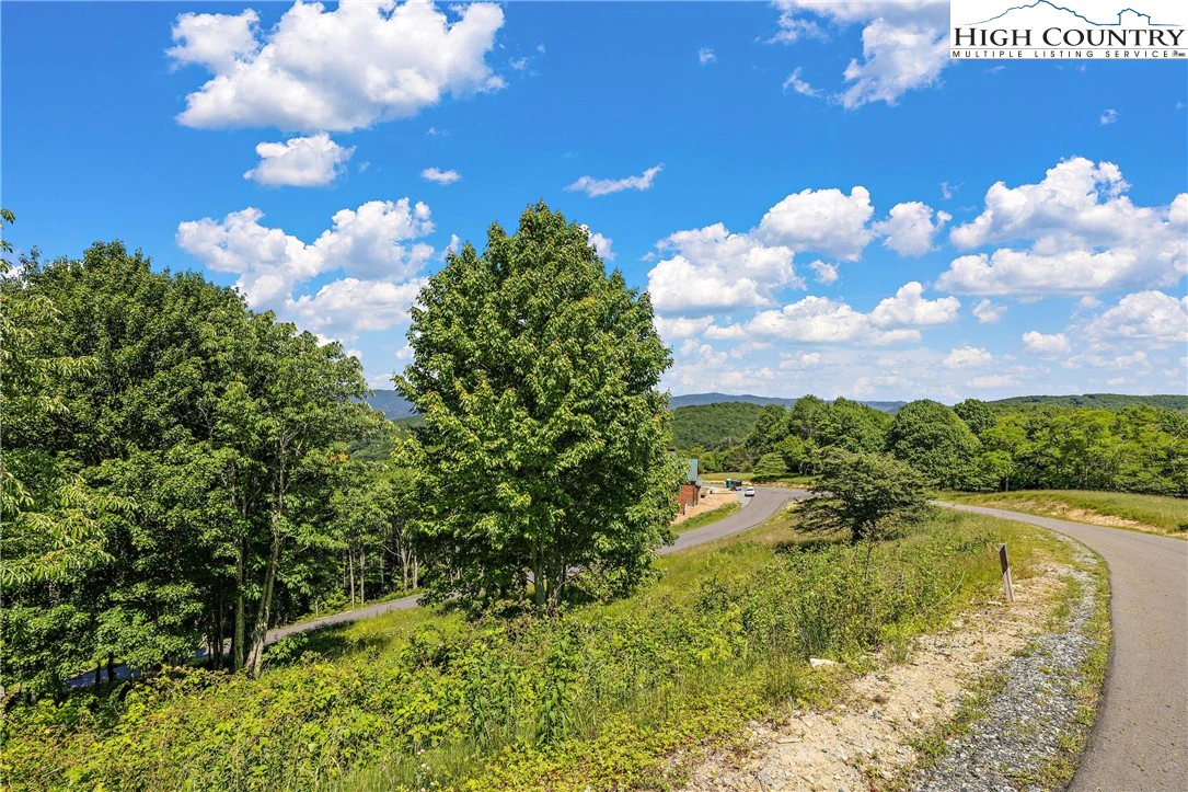 Image number 11 for the current listing