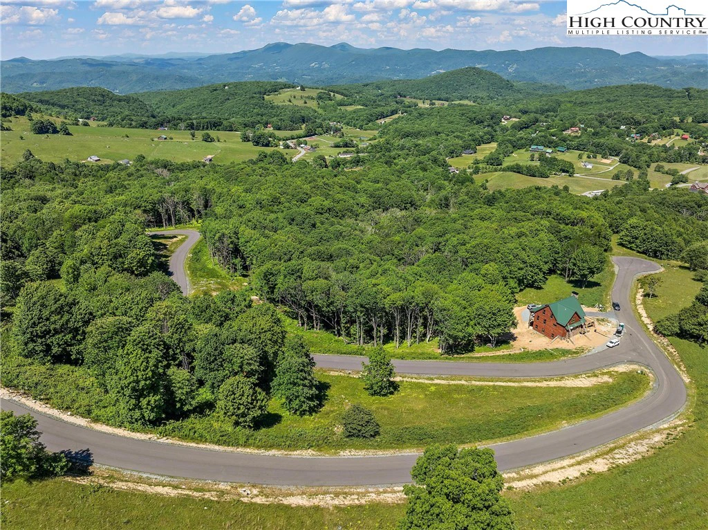 Image number 1 for the current listing