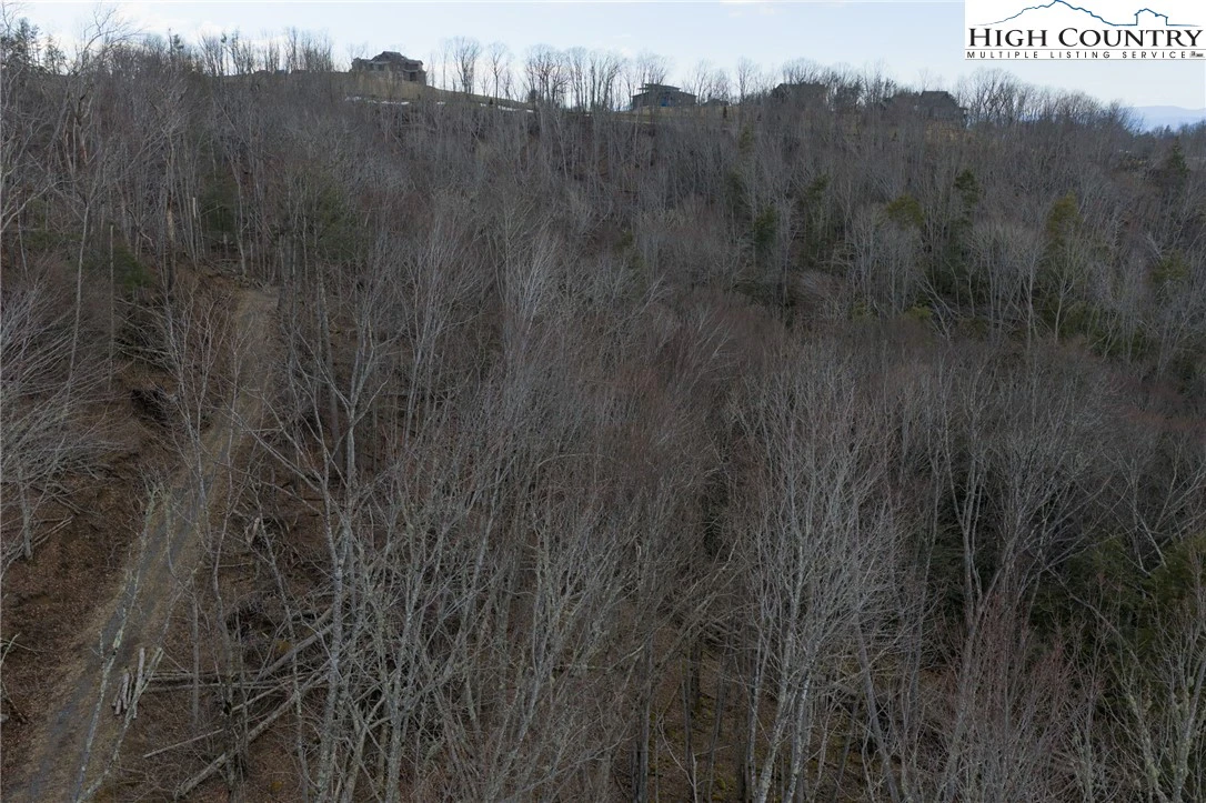 Image number 3 for the current listing