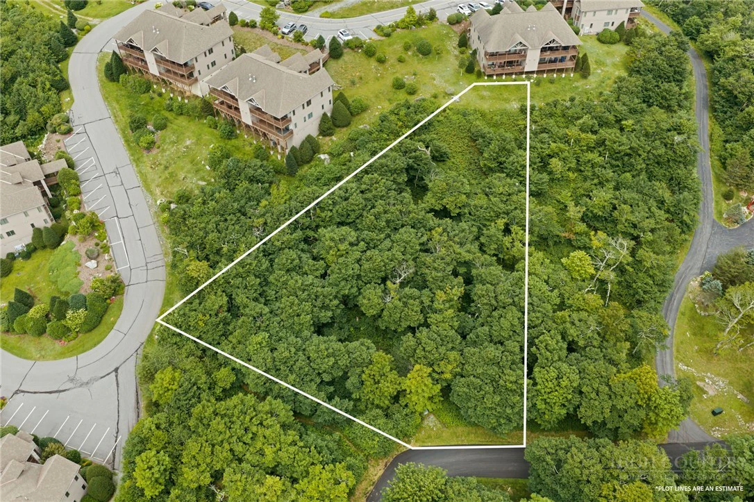 Image number 1 for the current listing