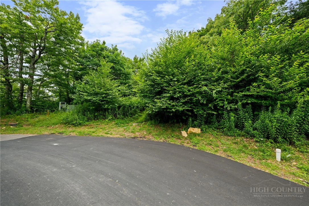 Image number 2 for the current listing