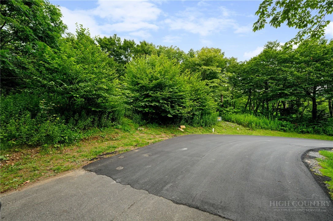 Image number 3 for the current listing