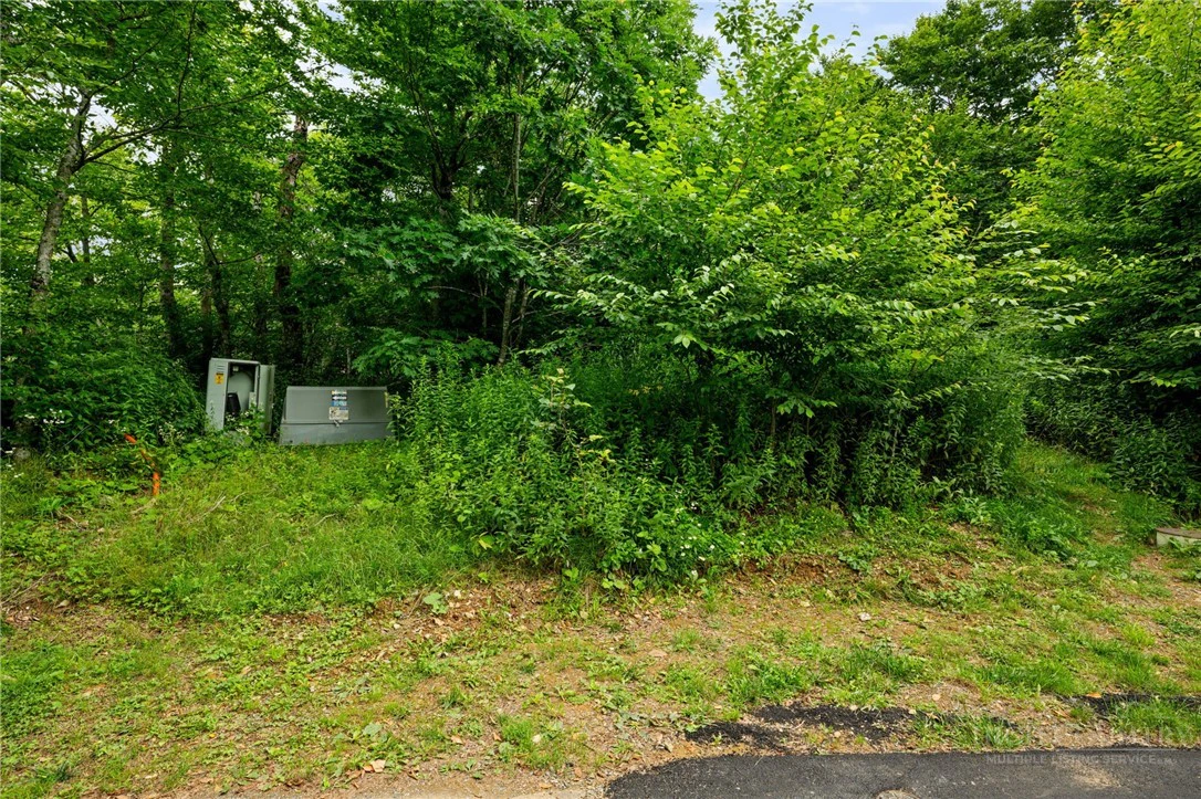 Image number 15 for the current listing