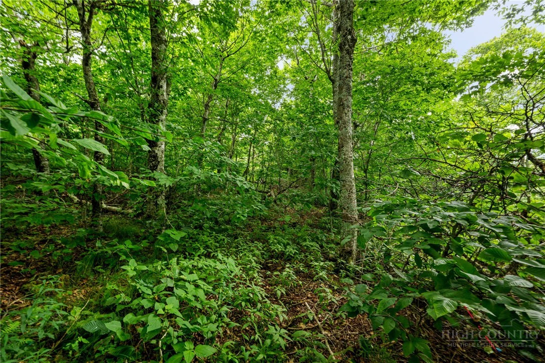 Image number 6 for the current listing