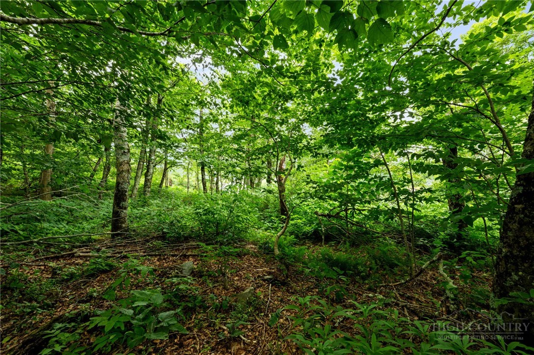 Image number 11 for the current listing