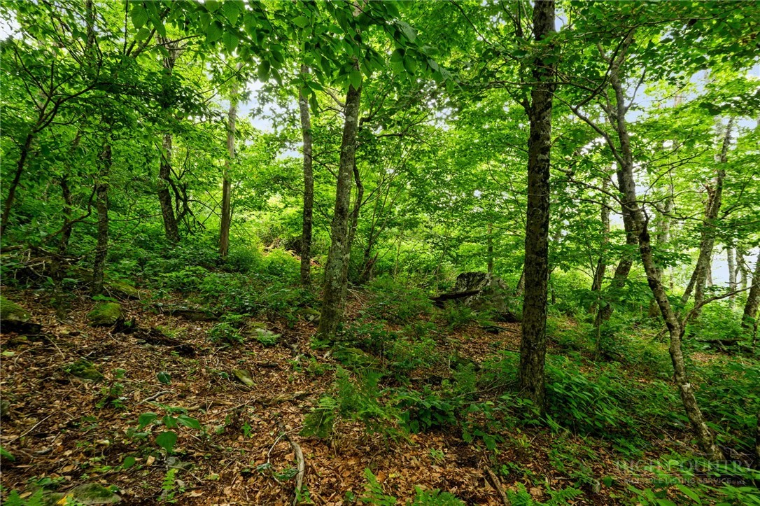 Image number 13 for the current listing