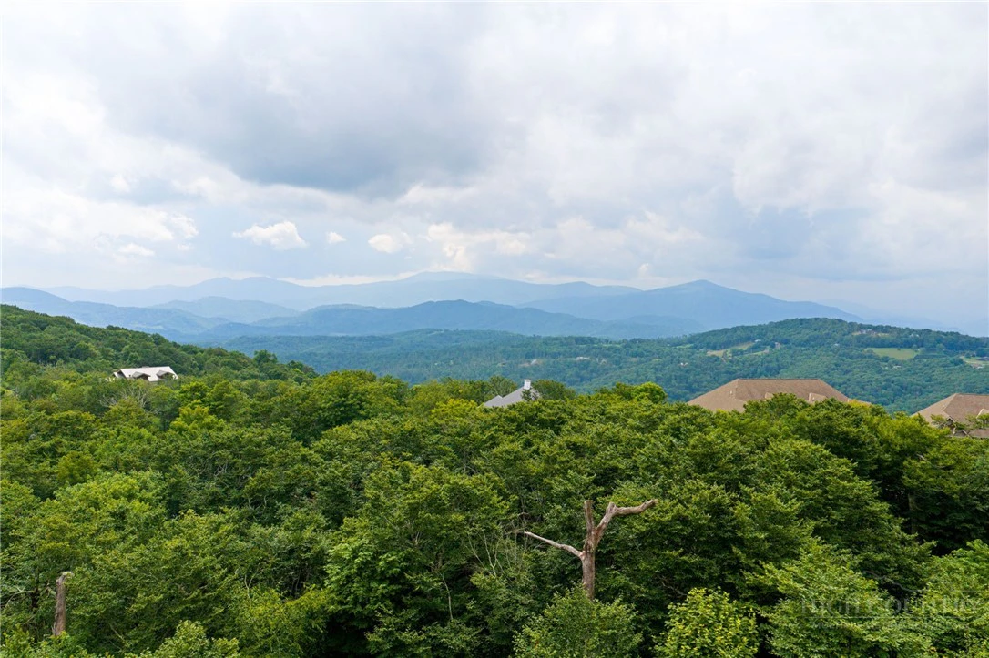 Image number 4 for the current listing