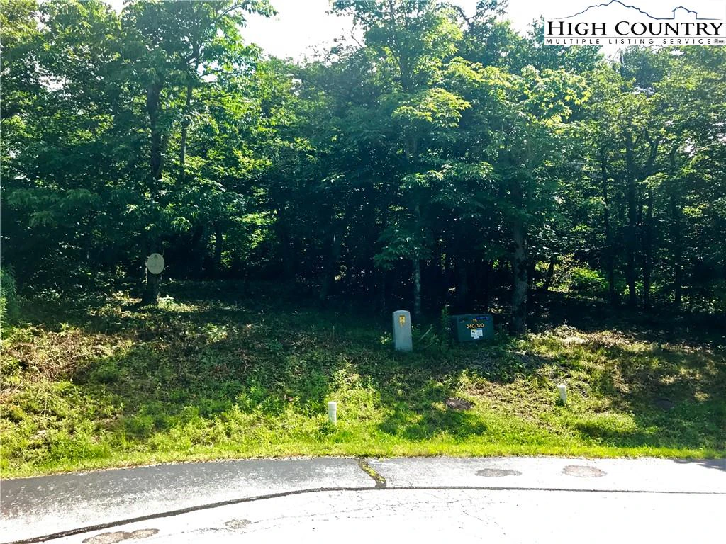 Image number 1 for the current listing