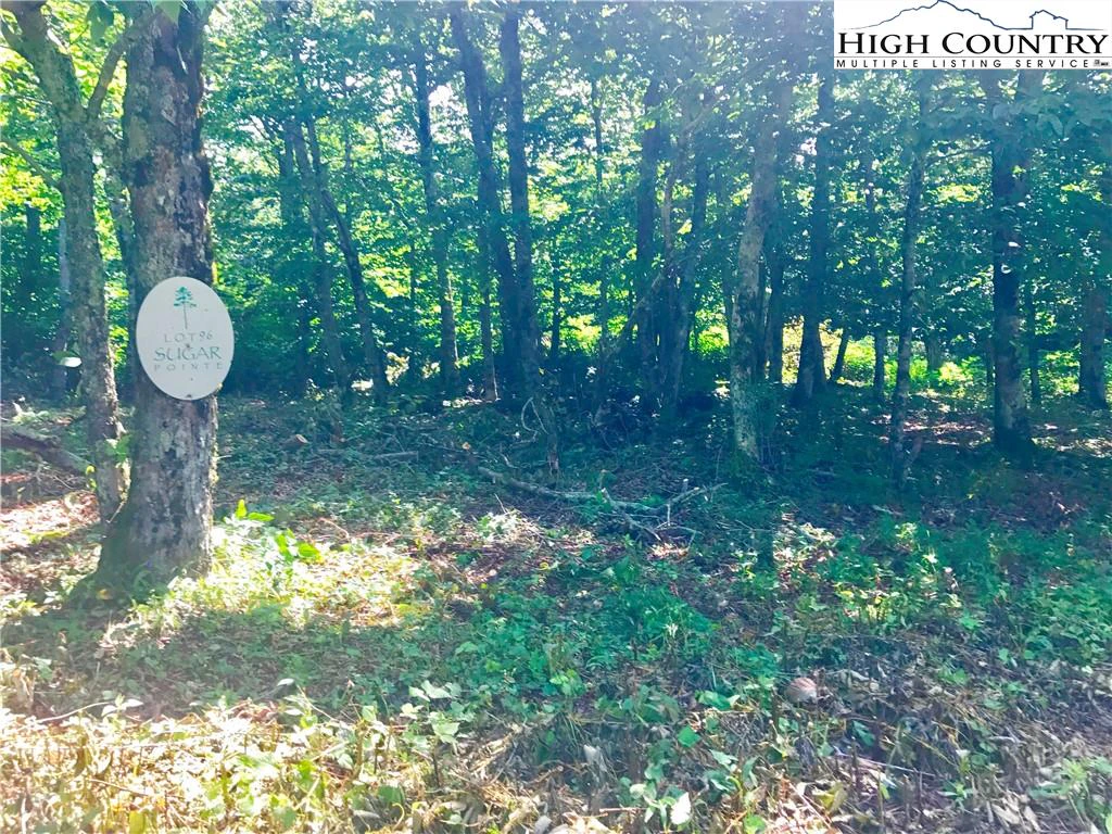 Image number 6 for the current listing