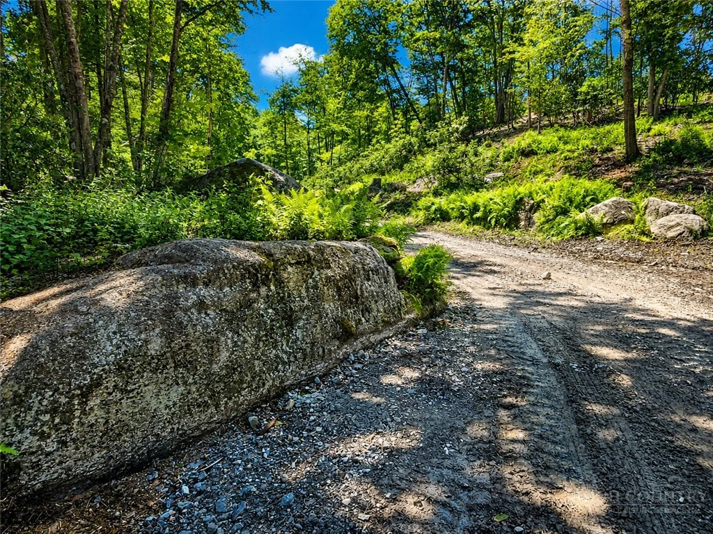 Image number 6 for the current listing