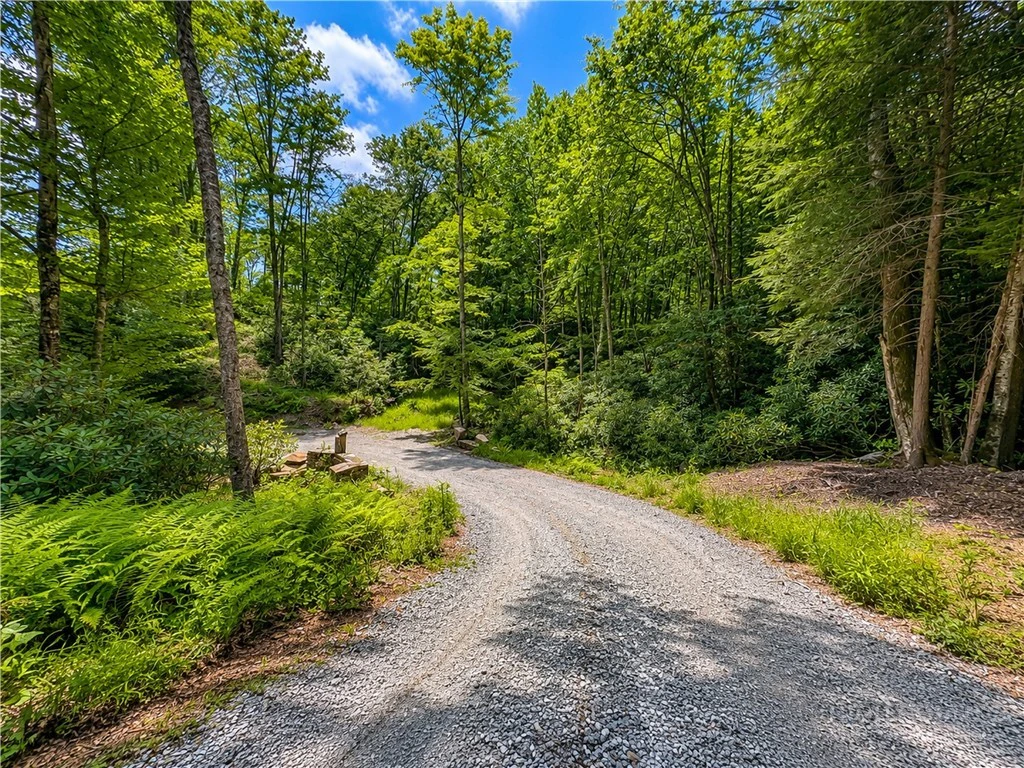 Image number 9 for the current listing