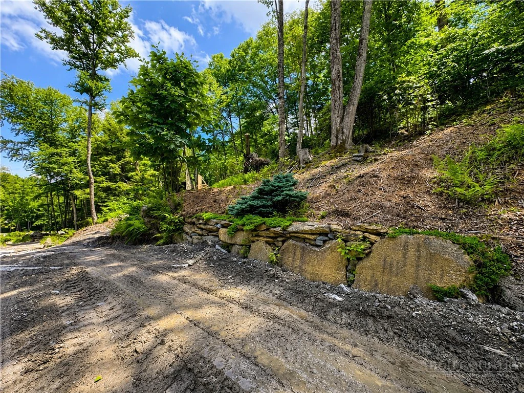 Image number 7 for the current listing