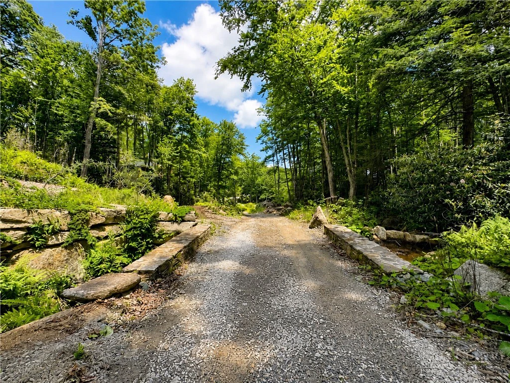 Image number 4 for the current listing