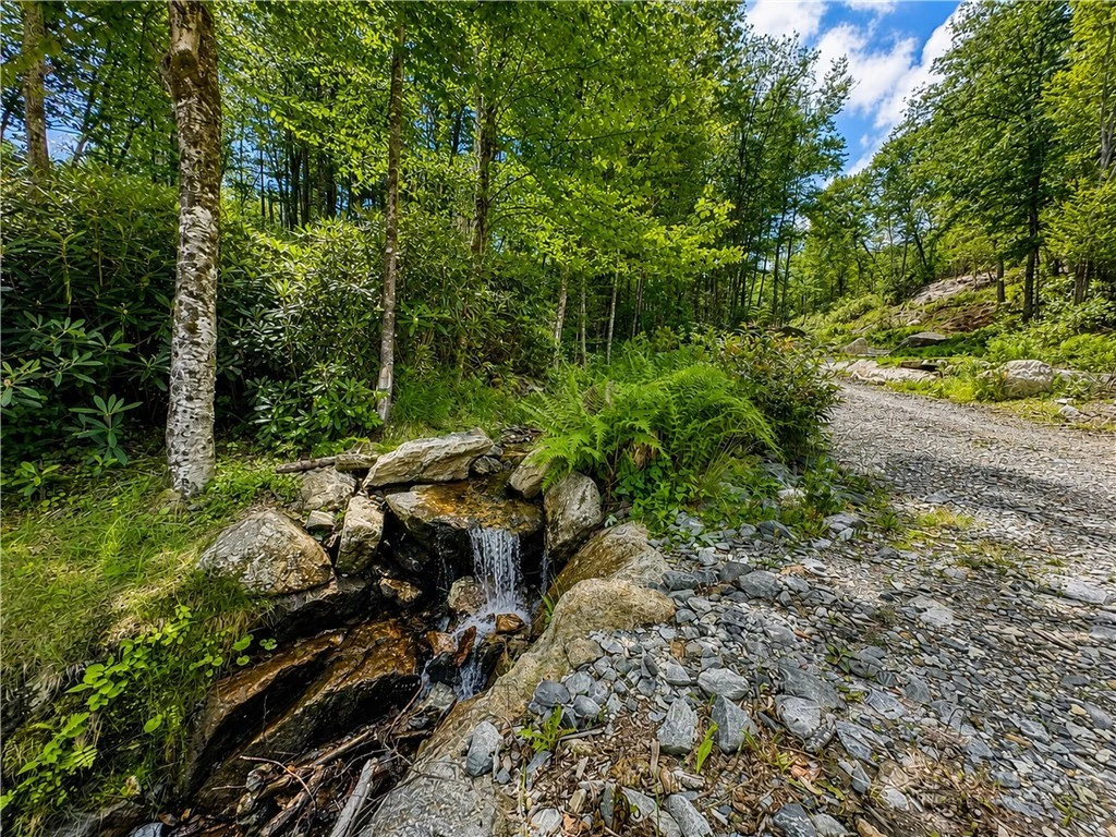 Image number 3 for the current listing