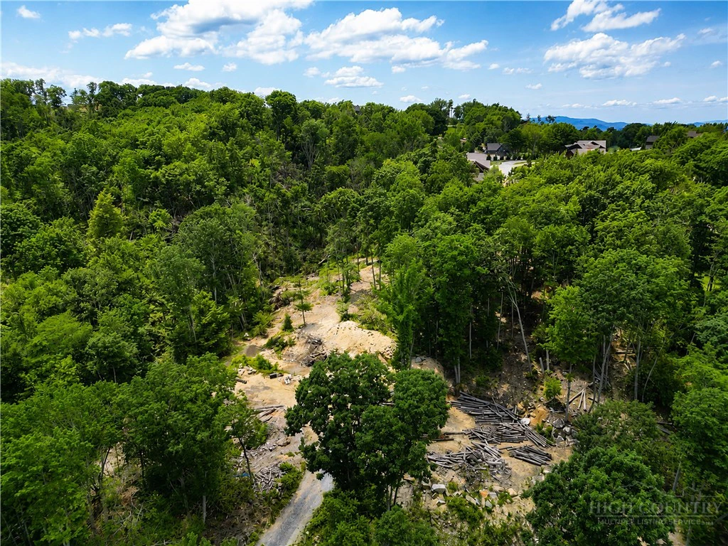 Image number 12 for the current listing