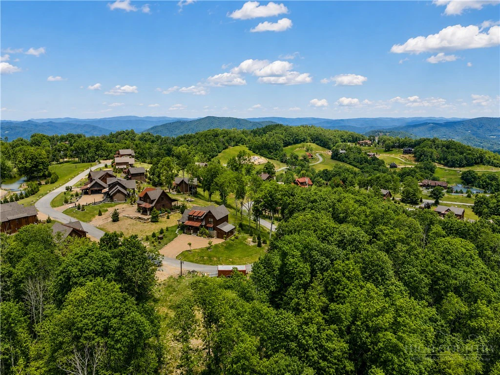 Image number 14 for the current listing