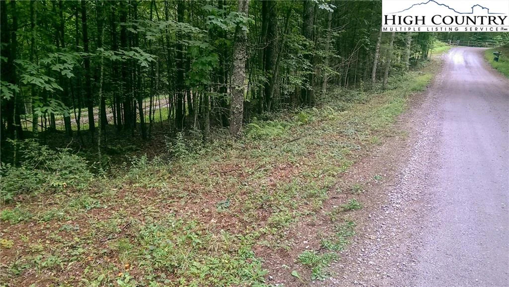 Image number 1 for the current listing