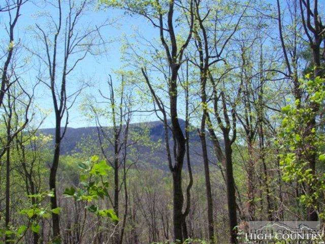 Image number 1 for the current listing