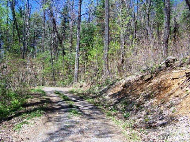 Image number 3 for the current listing