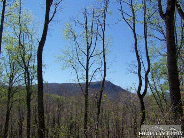 Image number 6 for the current listing