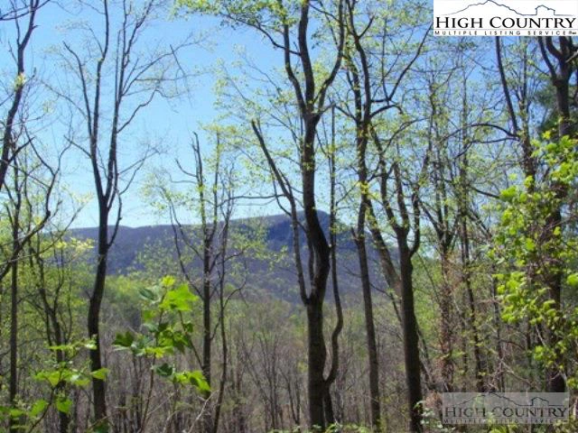 Image number 1 for the current listing