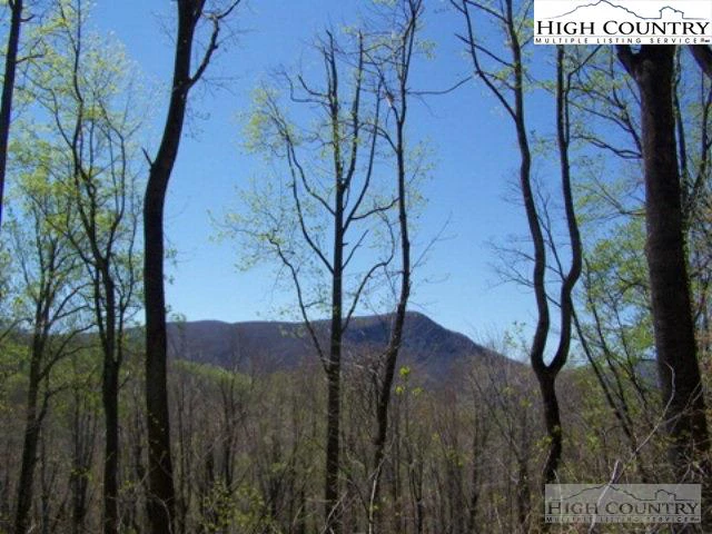 Image number 6 for the current listing