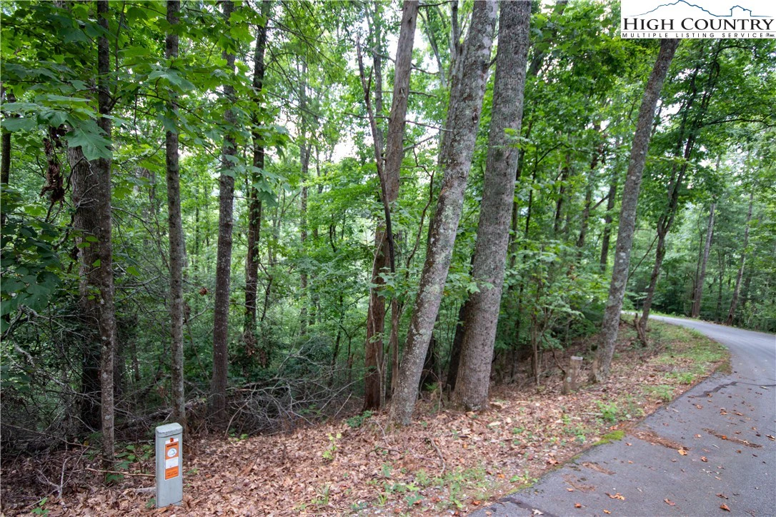 Image number 3 for the current listing