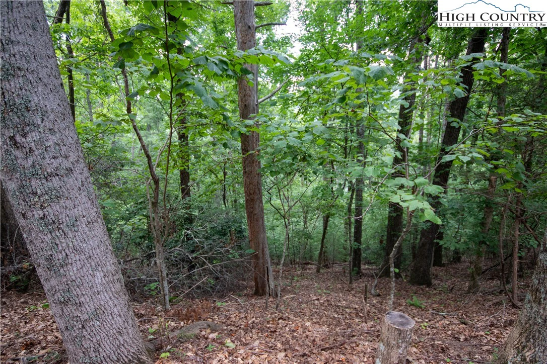 Image number 4 for the current listing