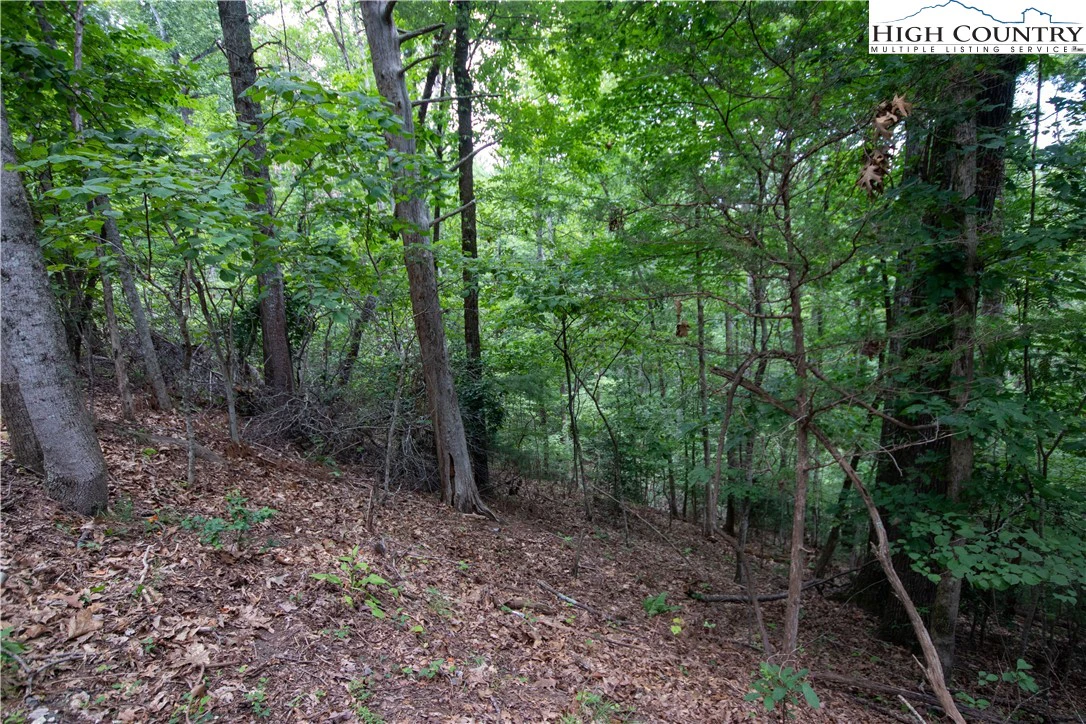 Image number 5 for the current listing