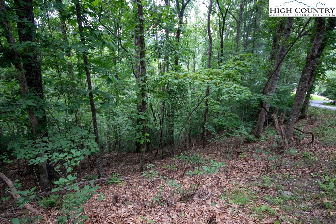 Image number 6 for the current listing