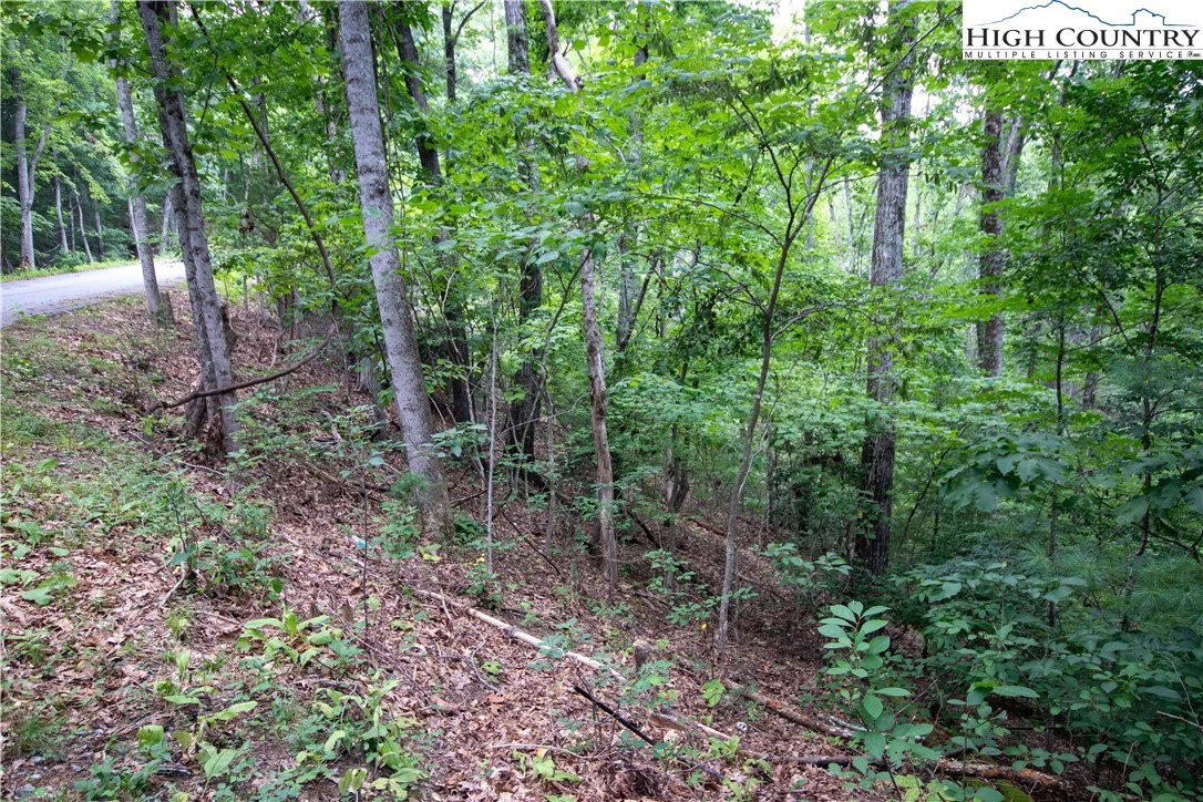 Image number 7 for the current listing