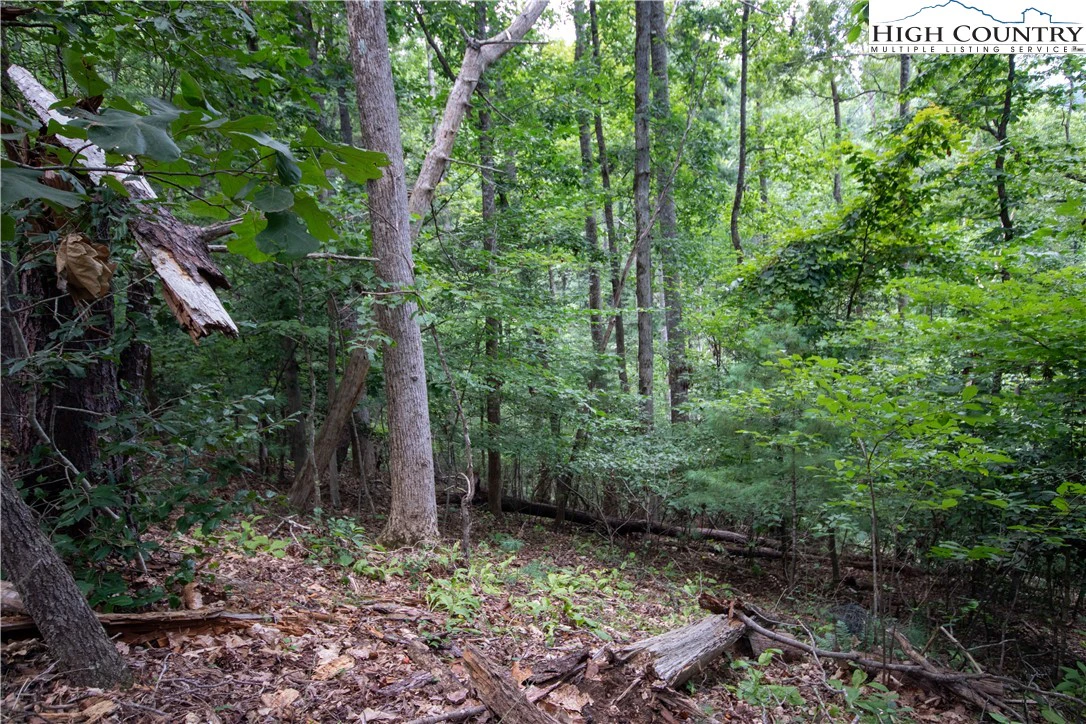 Image number 9 for the current listing