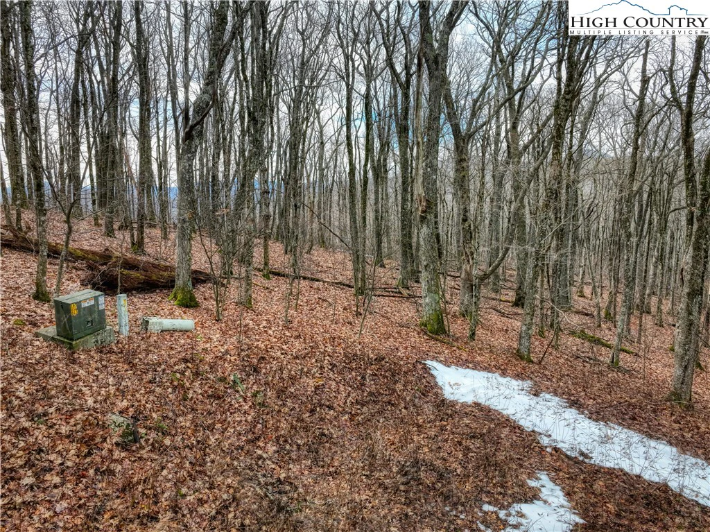 Image number 5 for the current listing