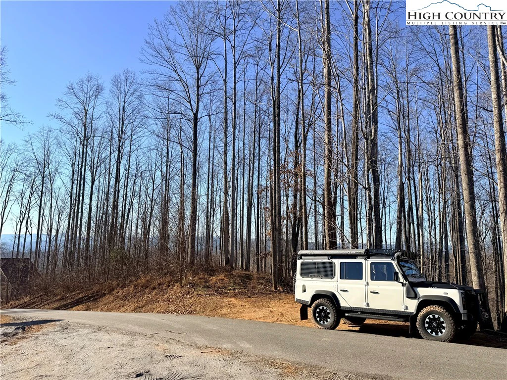 Image number 1 for the current listing
