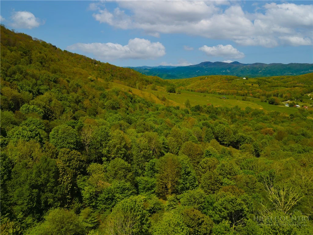 Image number 1 for the current listing