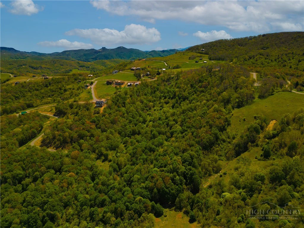 Image number 4 for the current listing